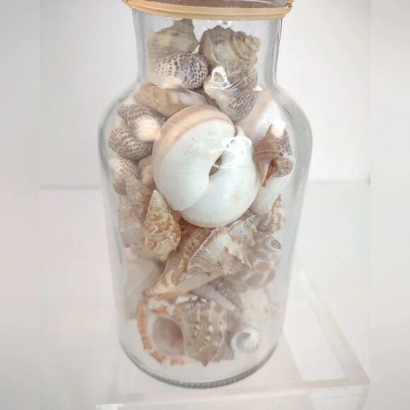 Florida Seashells in Glass Jar with cork Stopper NWOT Handmade Custom Gift - Picture 2 of 16